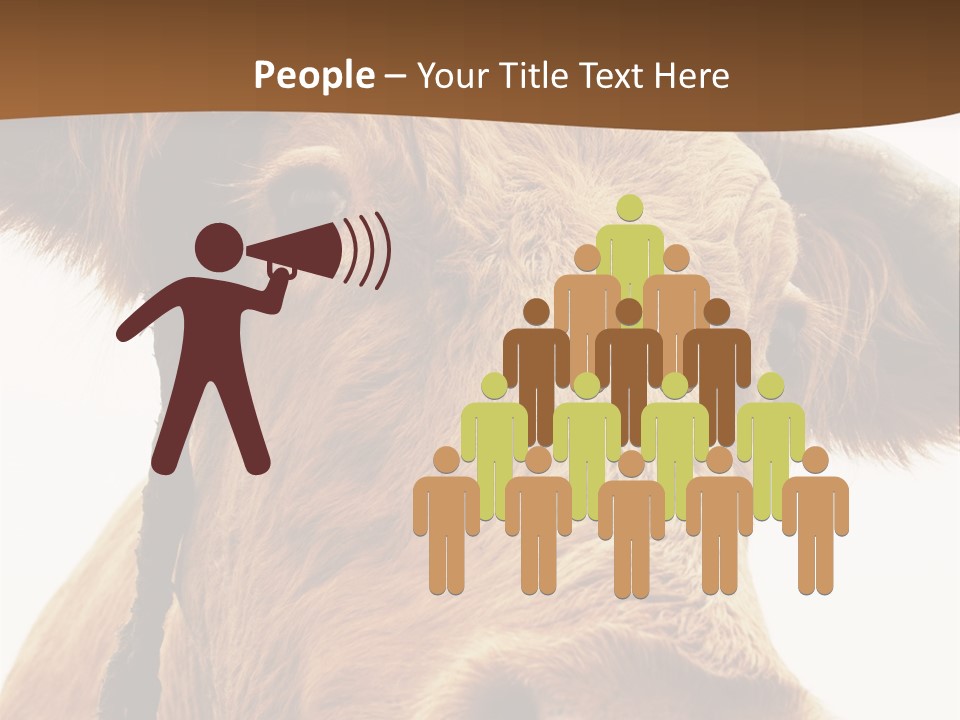 Farmland Ear Wildlife PowerPoint Template