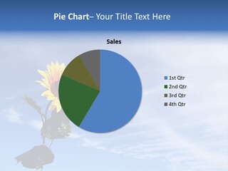 Nature Round Calm PowerPoint Template