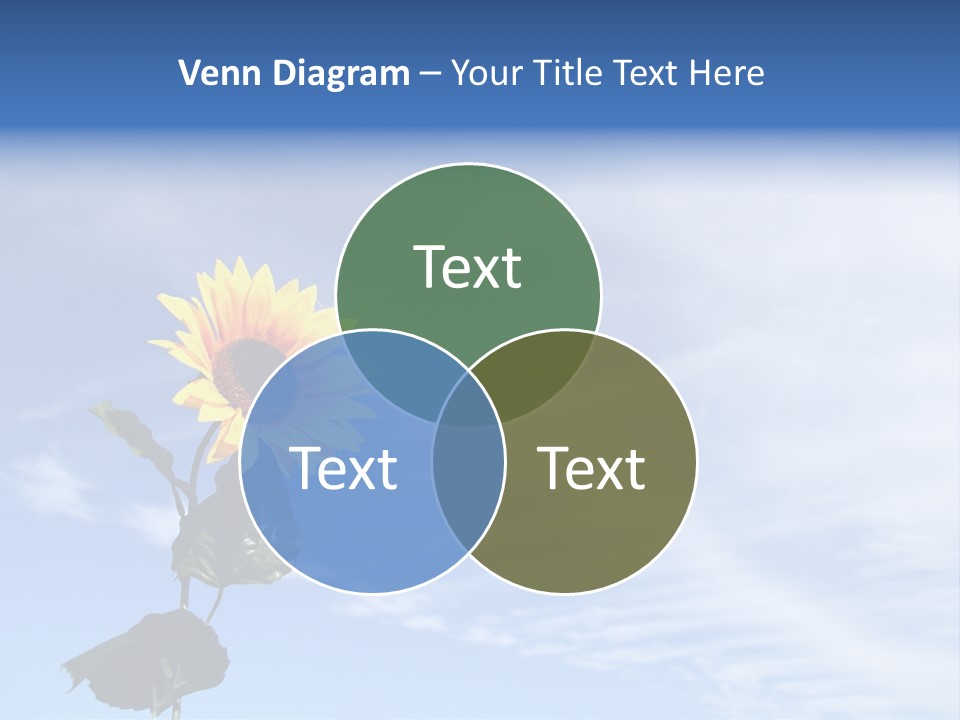 Nature Round Calm PowerPoint Template