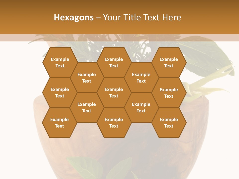 Flower Aroma Organic PowerPoint Template