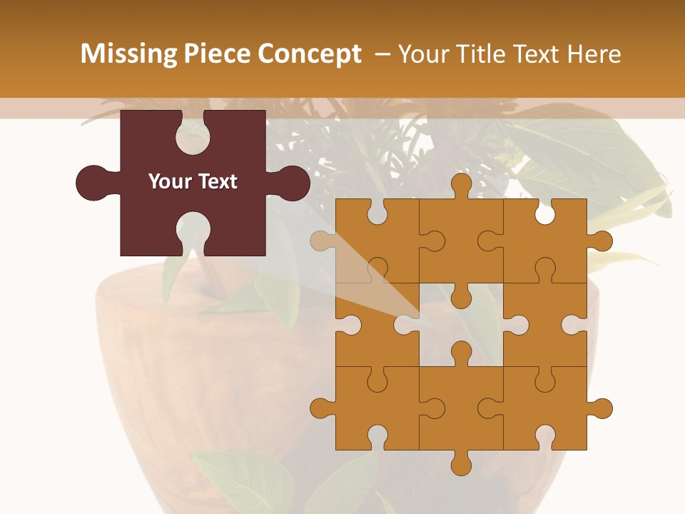 Flower Aroma Organic PowerPoint Template