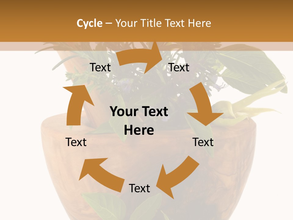 Flower Aroma Organic PowerPoint Template