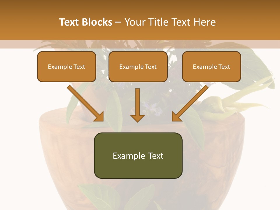 Flower Aroma Organic PowerPoint Template