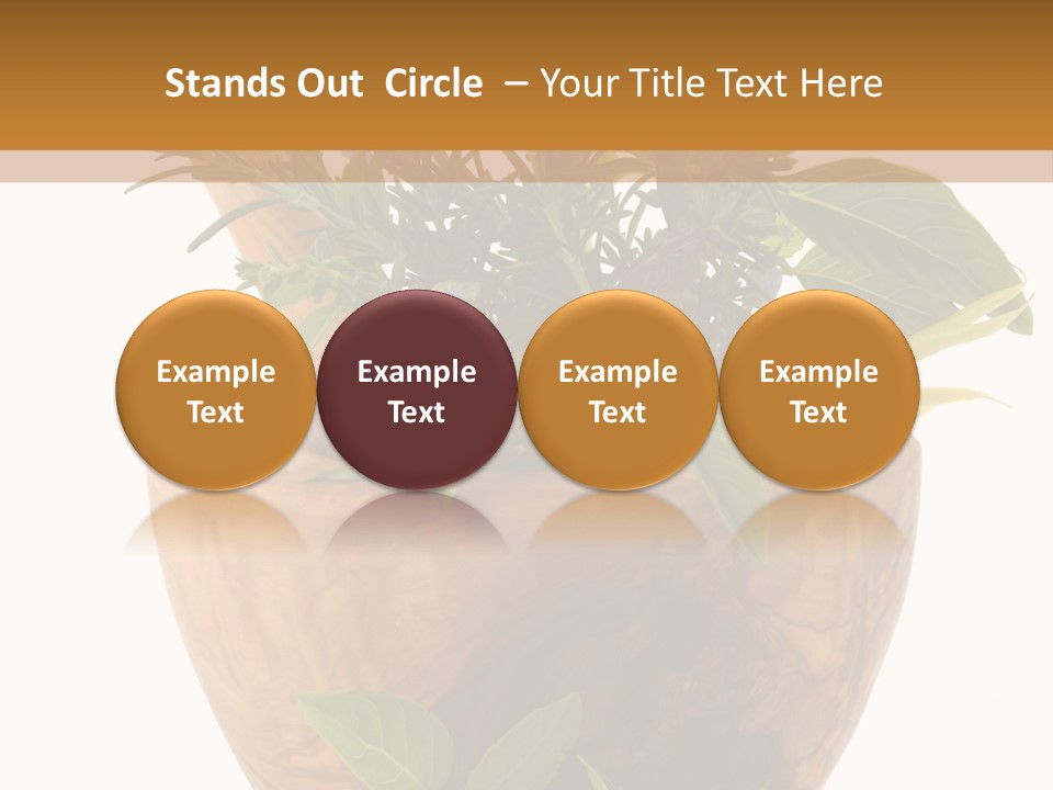 Flower Aroma Organic PowerPoint Template