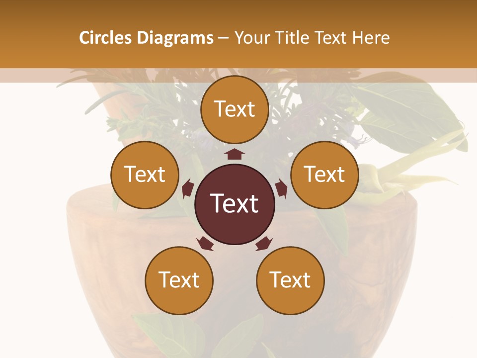 Flower Aroma Organic PowerPoint Template