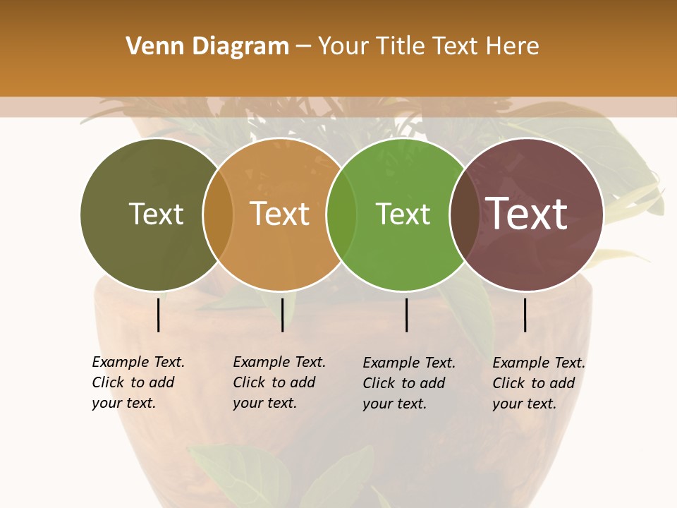Flower Aroma Organic PowerPoint Template