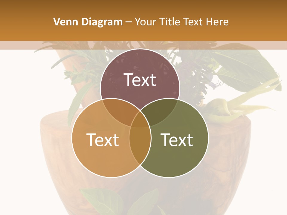 Flower Aroma Organic PowerPoint Template