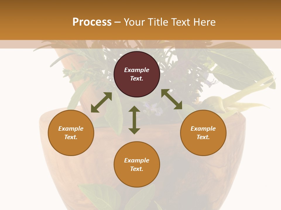 Flower Aroma Organic PowerPoint Template