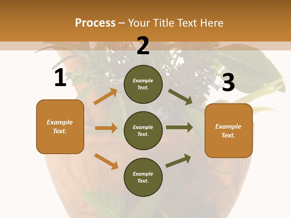 Flower Aroma Organic PowerPoint Template