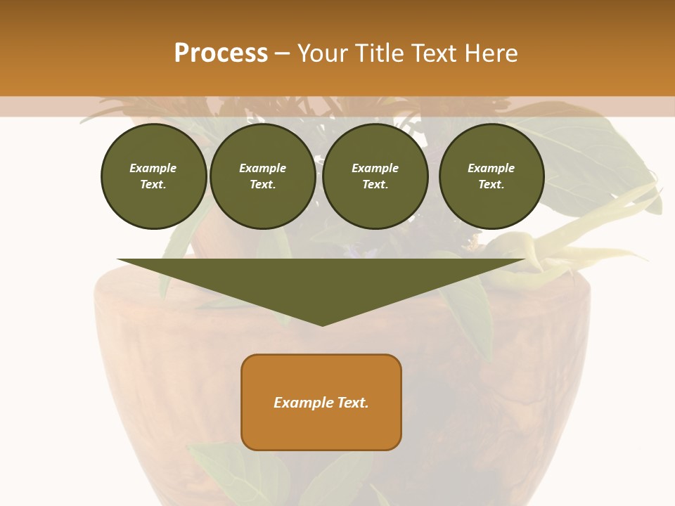 Flower Aroma Organic PowerPoint Template