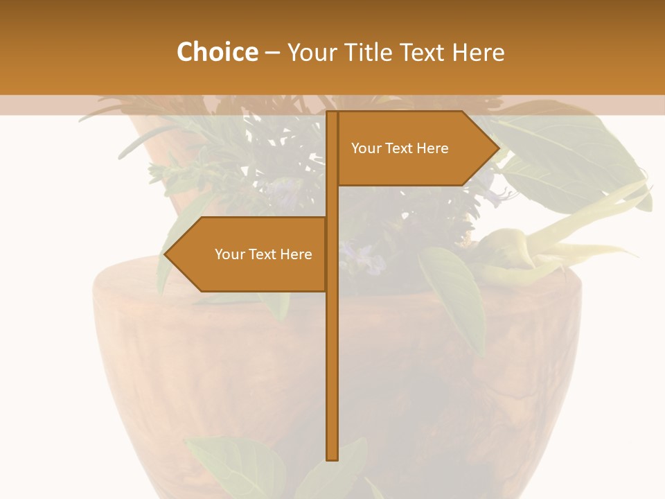 Flower Aroma Organic PowerPoint Template