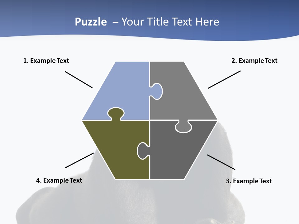 Studio Shot Lying Down Isolated On White PowerPoint Template