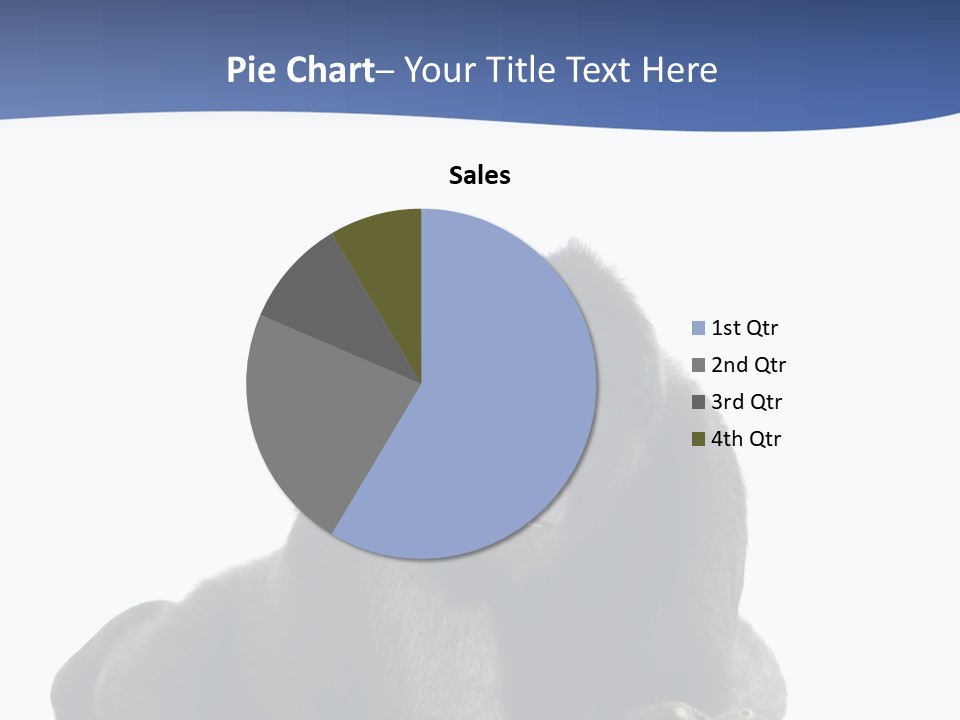 Studio Shot Lying Down Isolated On White PowerPoint Template