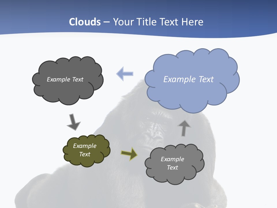 Studio Shot Lying Down Isolated On White PowerPoint Template