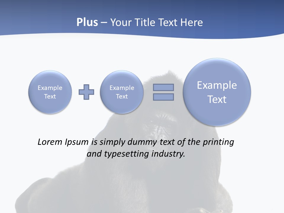 Studio Shot Lying Down Isolated On White PowerPoint Template