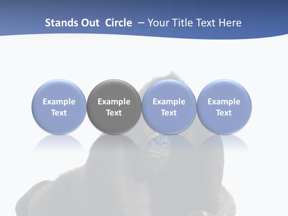 Studio Shot Lying Down Isolated On White PowerPoint Template