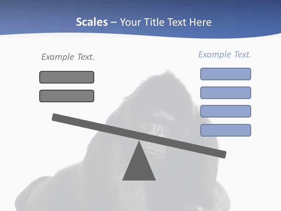 Studio Shot Lying Down Isolated On White PowerPoint Template