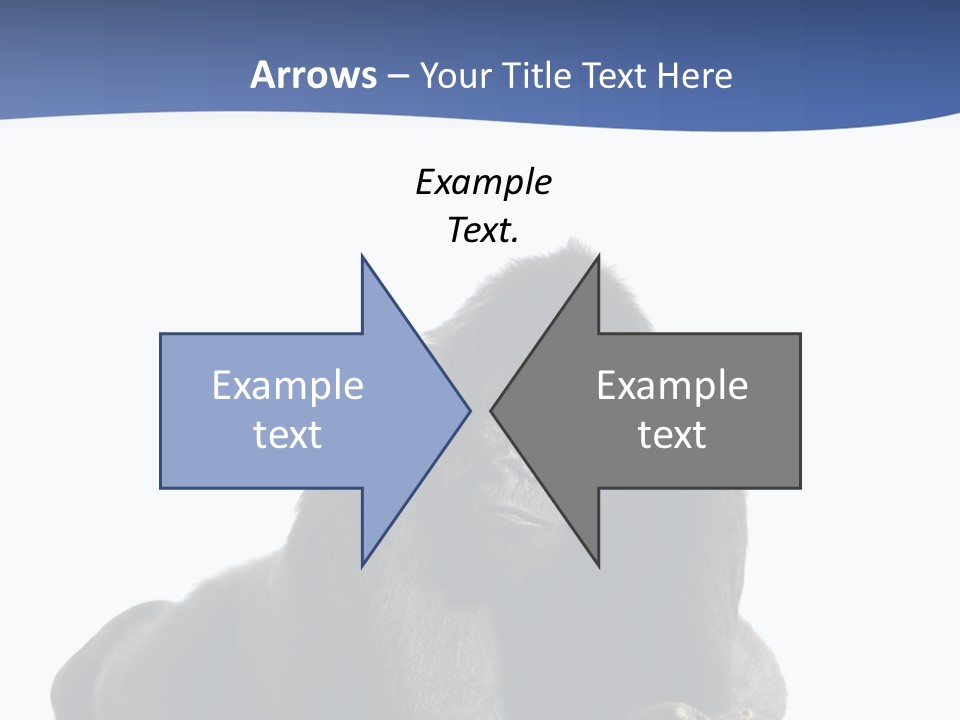 Studio Shot Lying Down Isolated On White PowerPoint Template