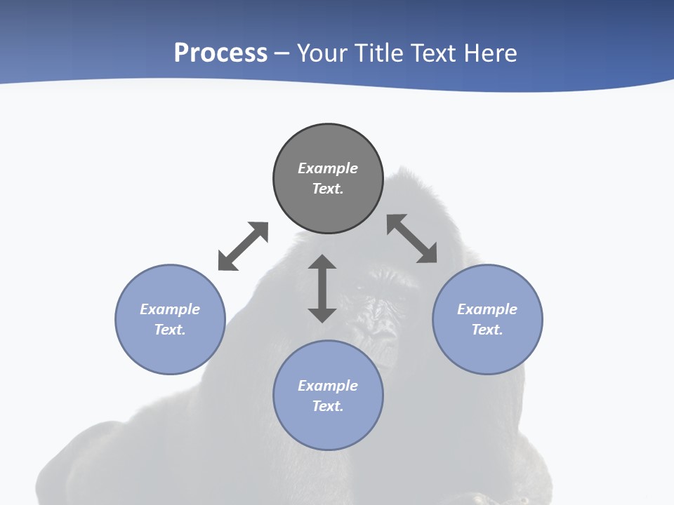 Studio Shot Lying Down Isolated On White PowerPoint Template