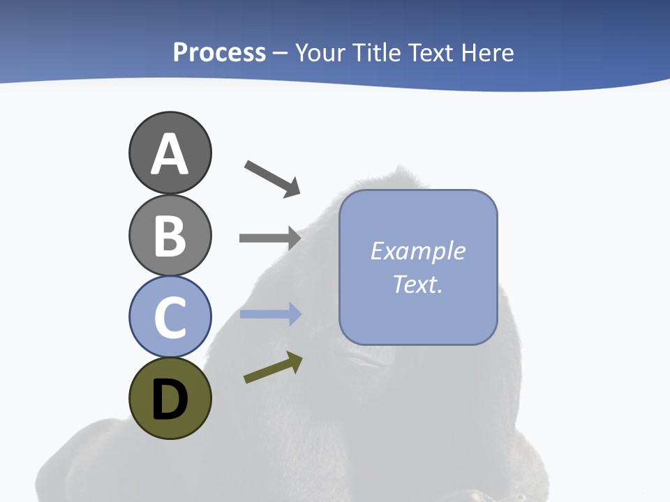 Studio Shot Lying Down Isolated On White PowerPoint Template