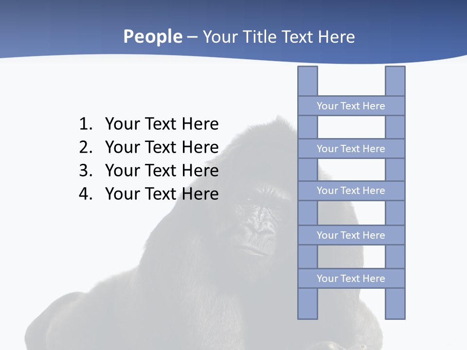 Studio Shot Lying Down Isolated On White PowerPoint Template