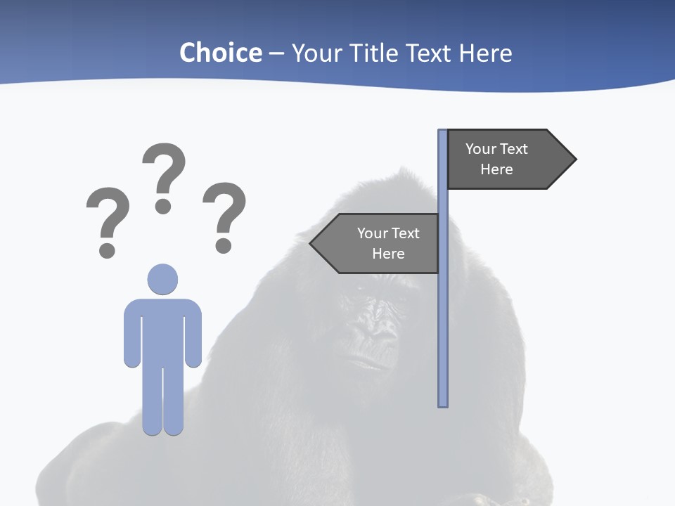 Studio Shot Lying Down Isolated On White PowerPoint Template