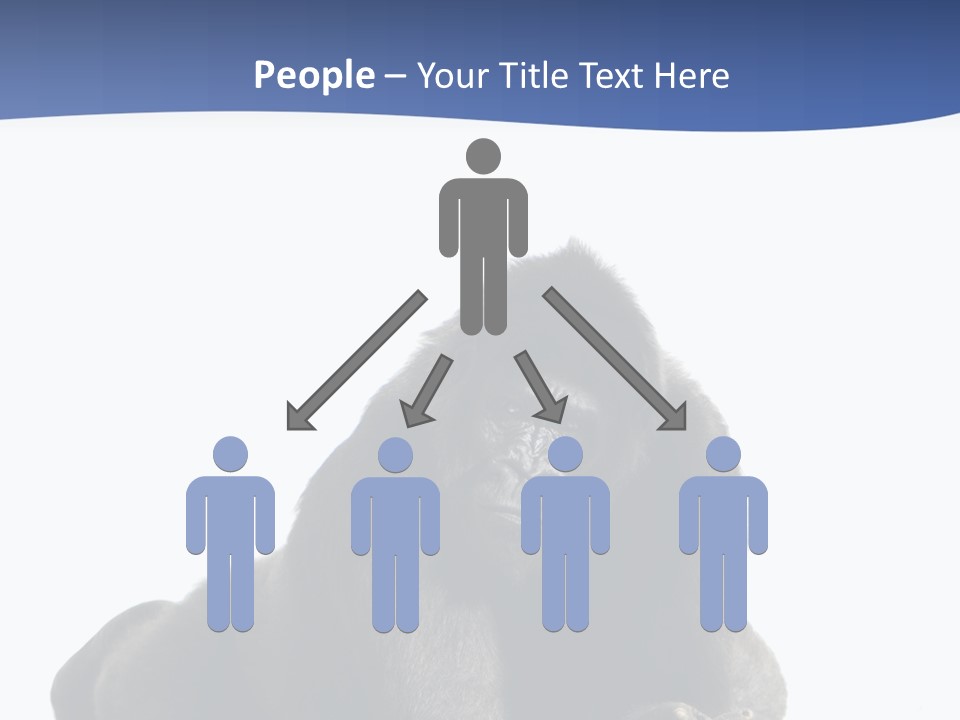 Studio Shot Lying Down Isolated On White PowerPoint Template