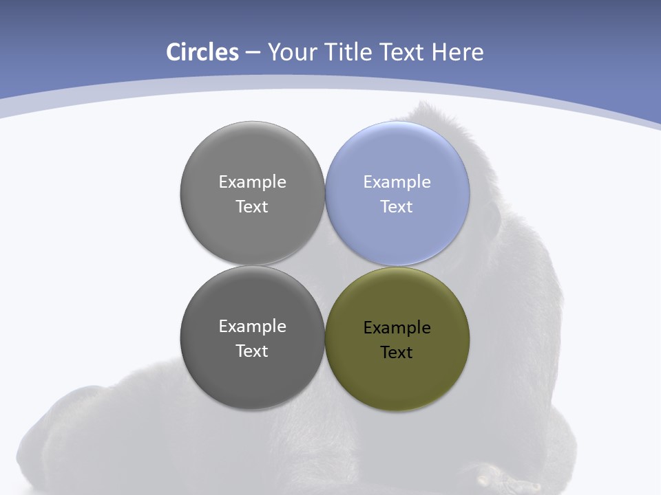 Brother Studio Shot Arm PowerPoint Template