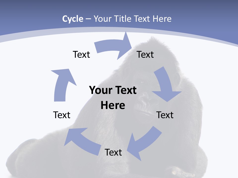 Brother Studio Shot Arm PowerPoint Template