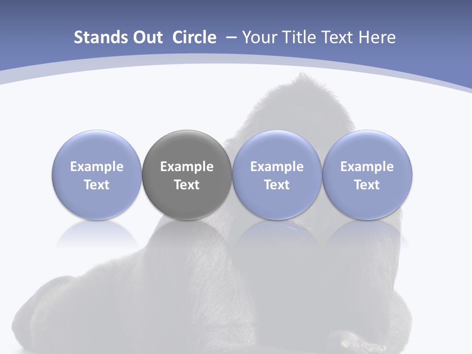 Brother Studio Shot Arm PowerPoint Template