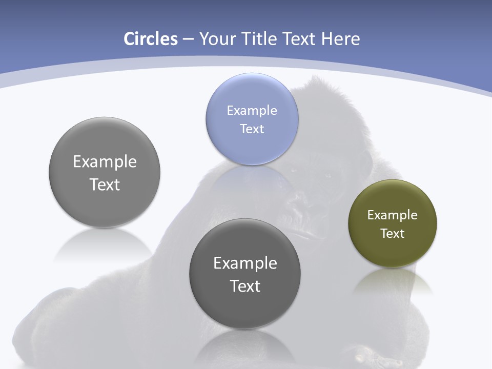 Brother Studio Shot Arm PowerPoint Template