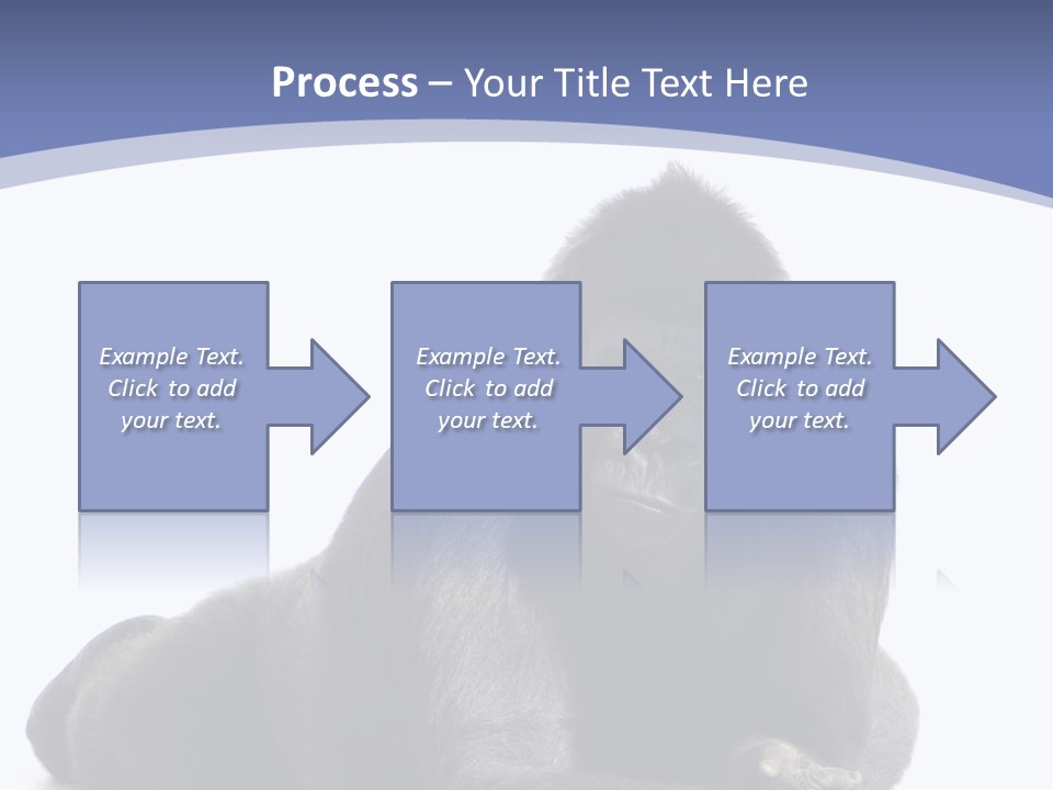 Brother Studio Shot Arm PowerPoint Template