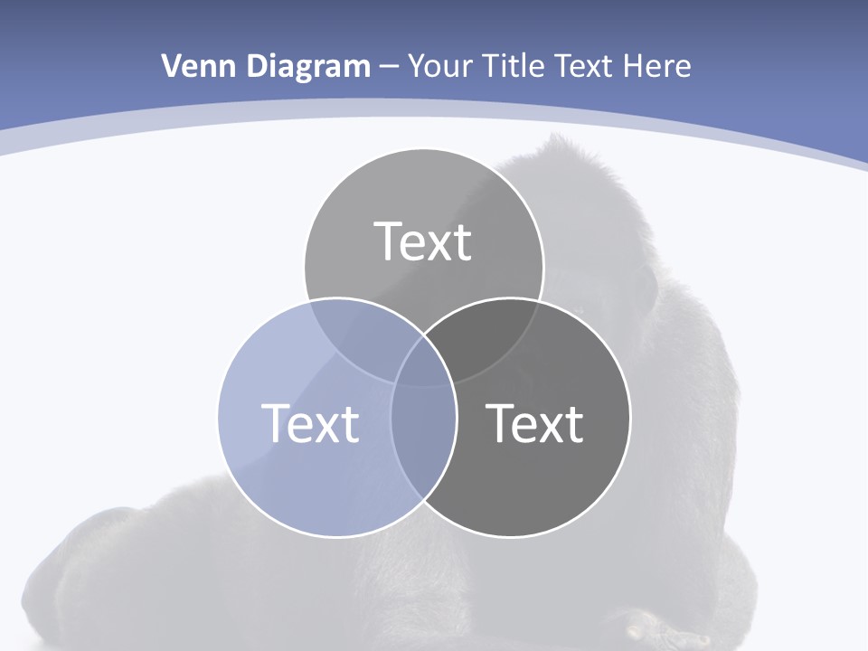 Brother Studio Shot Arm PowerPoint Template