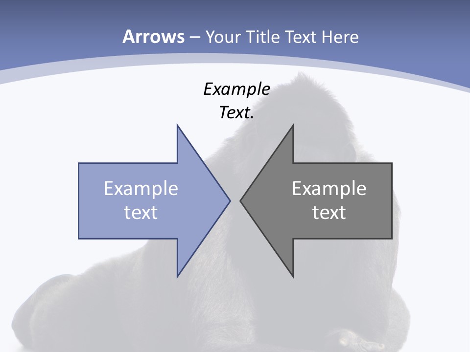 Brother Studio Shot Arm PowerPoint Template