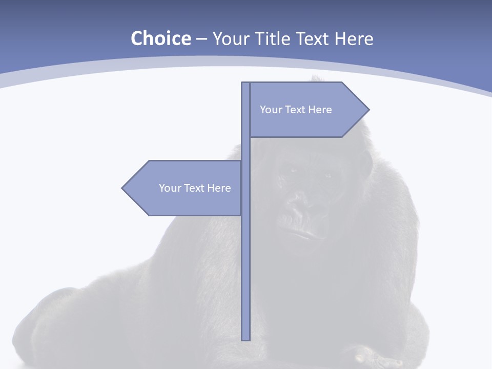 Brother Studio Shot Arm PowerPoint Template