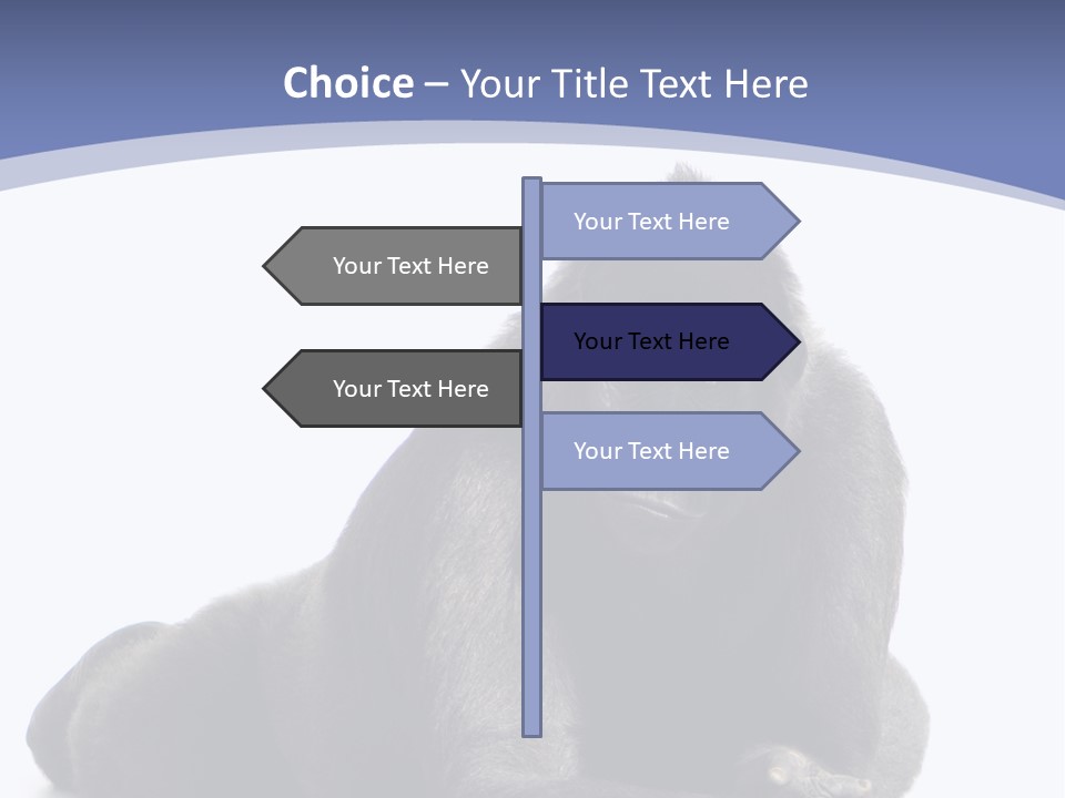 Brother Studio Shot Arm PowerPoint Template