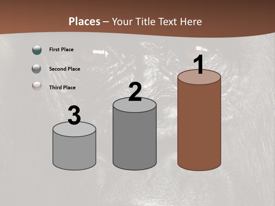 Expressive Studio Shot Isolated On White PowerPoint Template