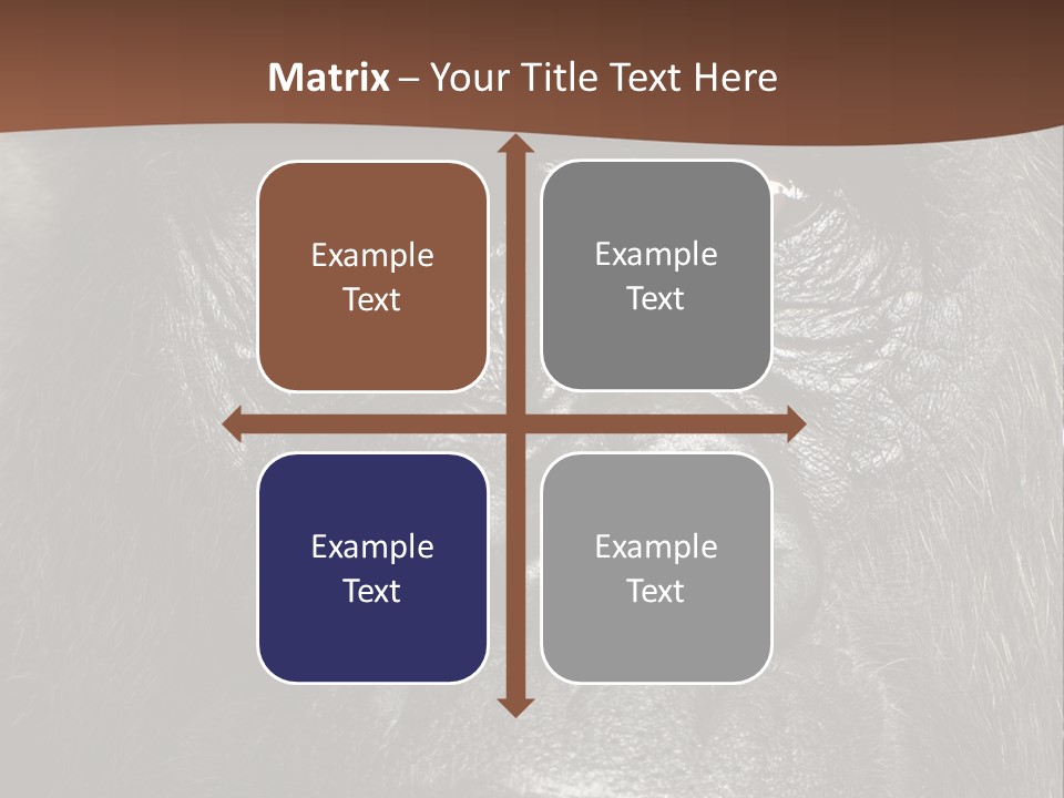 Expressive Studio Shot Isolated On White PowerPoint Template