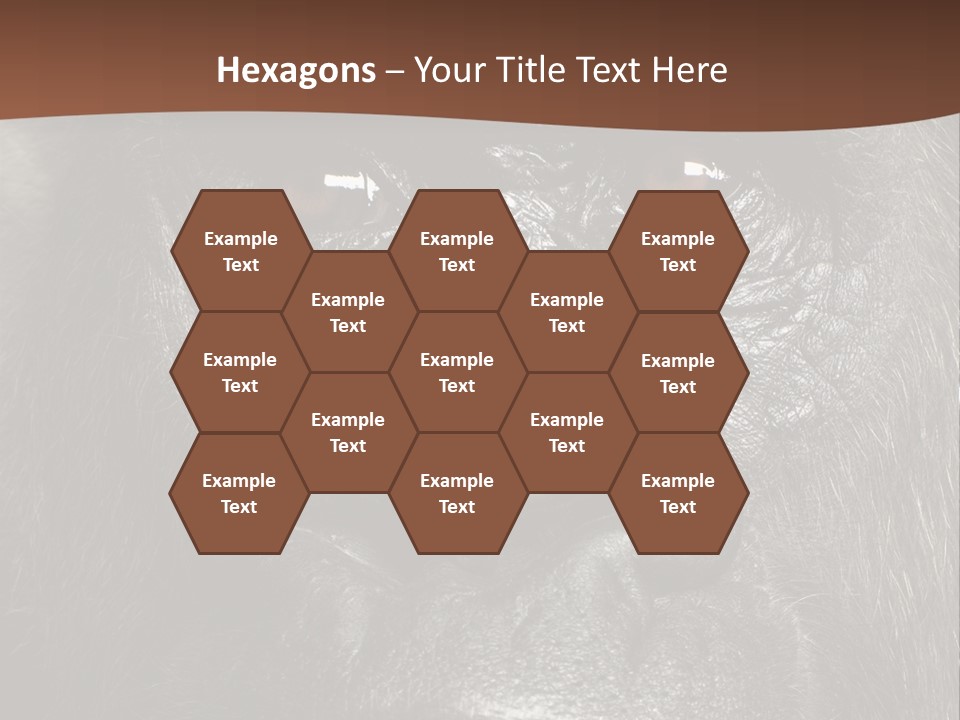 Expressive Studio Shot Isolated On White PowerPoint Template