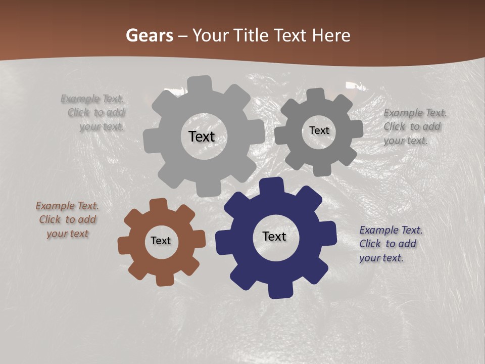 Expressive Studio Shot Isolated On White PowerPoint Template