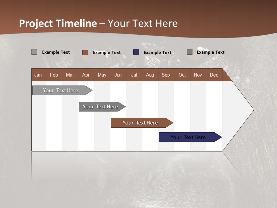 Expressive Studio Shot Isolated On White PowerPoint Template