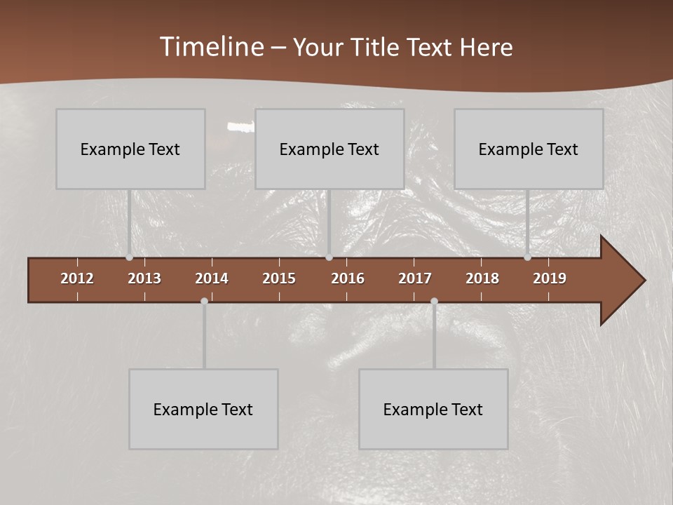 Expressive Studio Shot Isolated On White PowerPoint Template