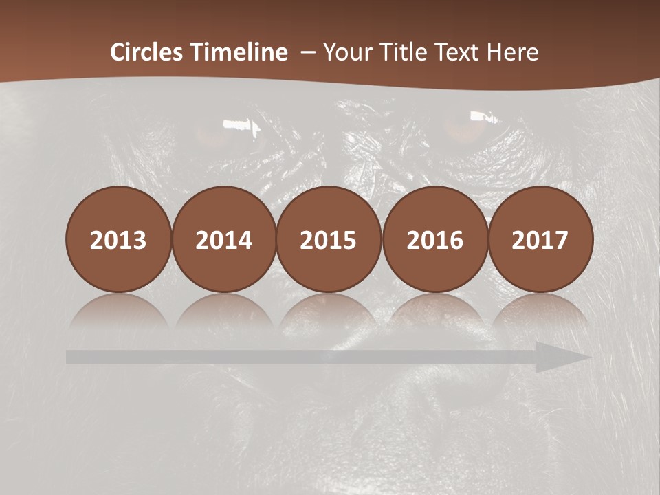 Expressive Studio Shot Isolated On White PowerPoint Template