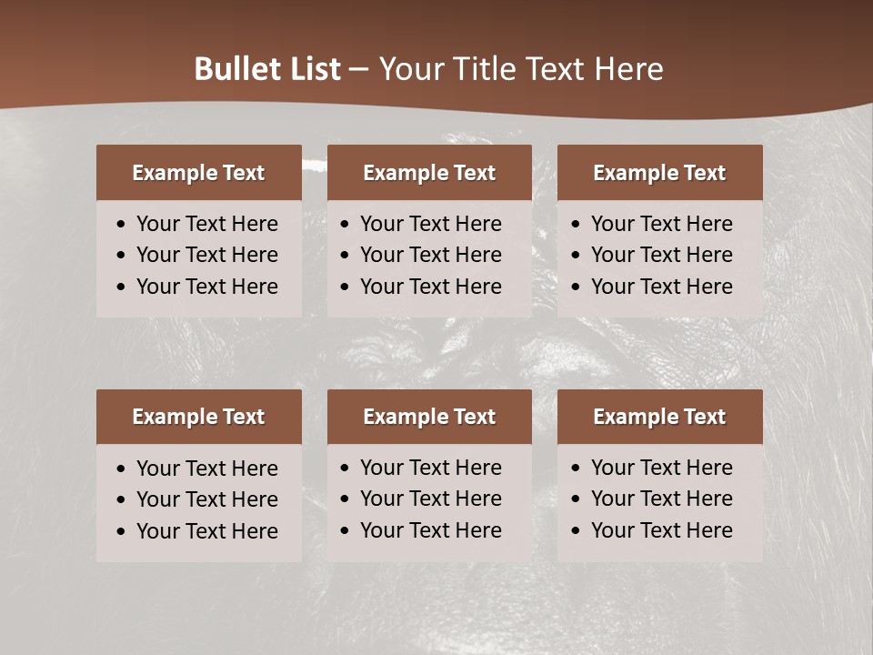 Expressive Studio Shot Isolated On White PowerPoint Template