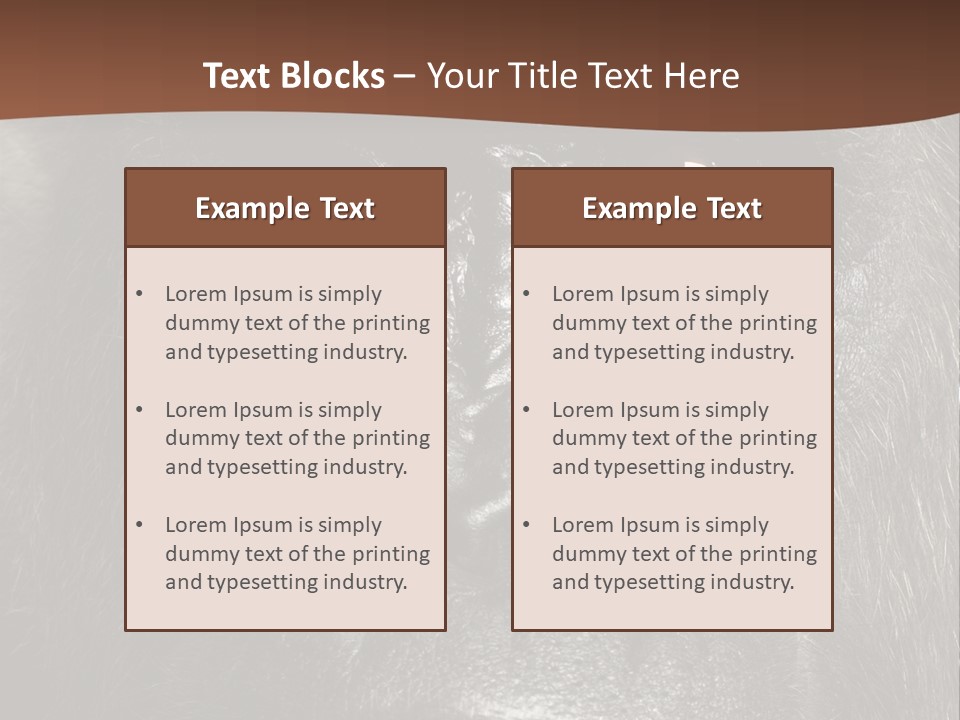 Expressive Studio Shot Isolated On White PowerPoint Template