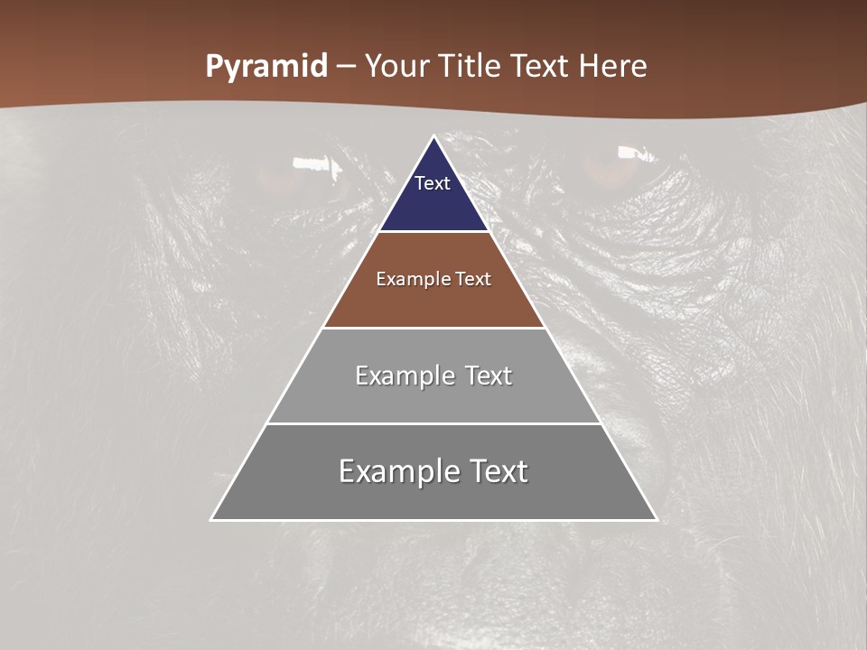 Expressive Studio Shot Isolated On White PowerPoint Template