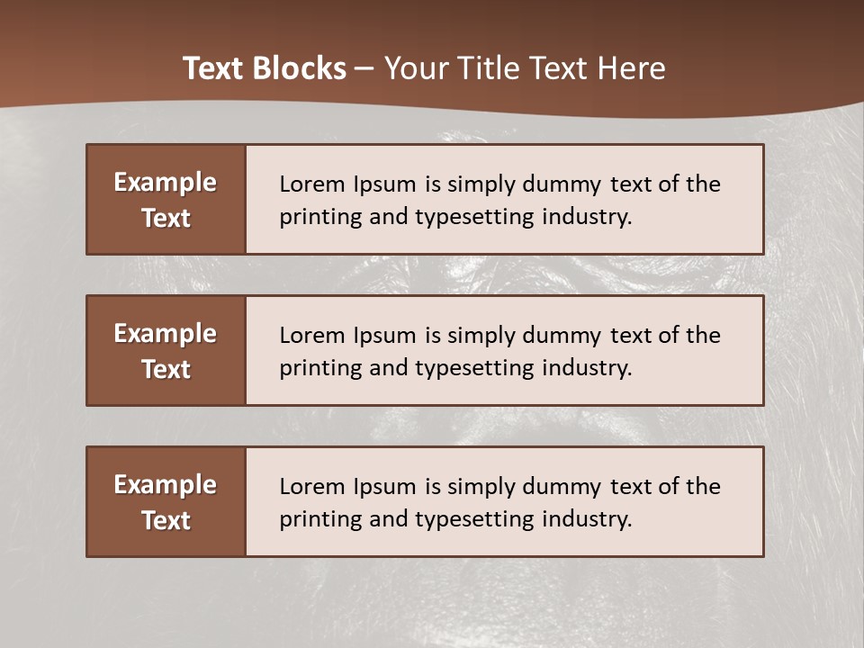 Expressive Studio Shot Isolated On White PowerPoint Template