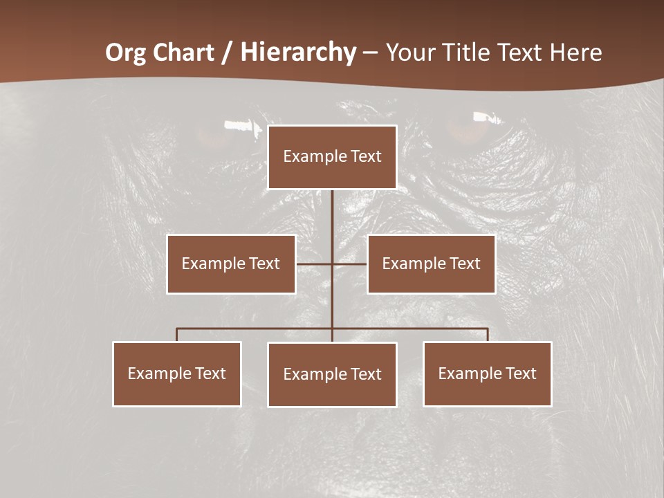 Expressive Studio Shot Isolated On White PowerPoint Template