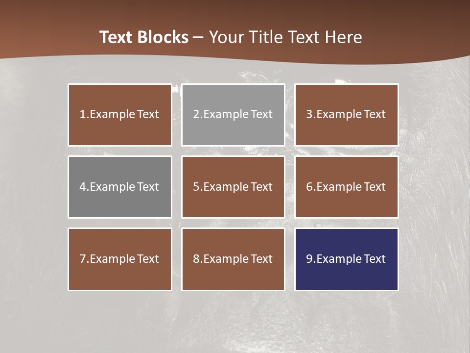 Expressive Studio Shot Isolated On White PowerPoint Template