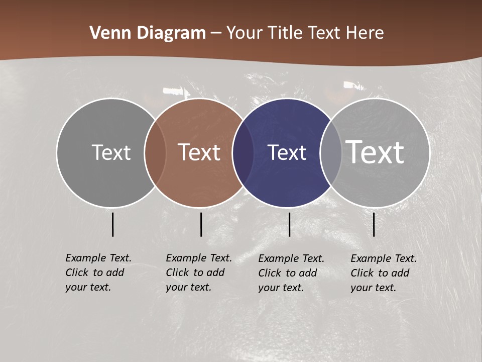 Expressive Studio Shot Isolated On White PowerPoint Template